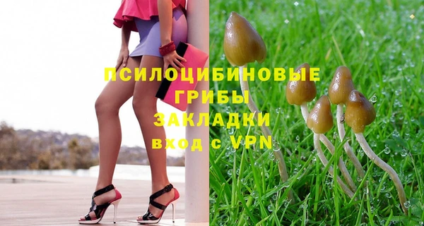 apvp Тайга
